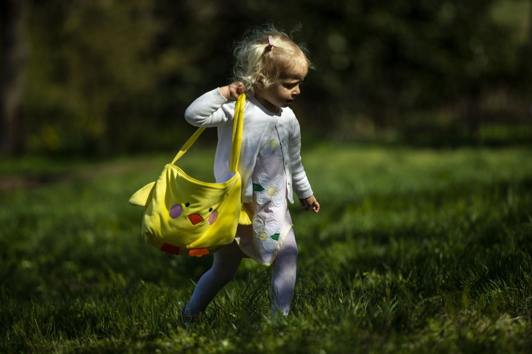 Easter egg hunt